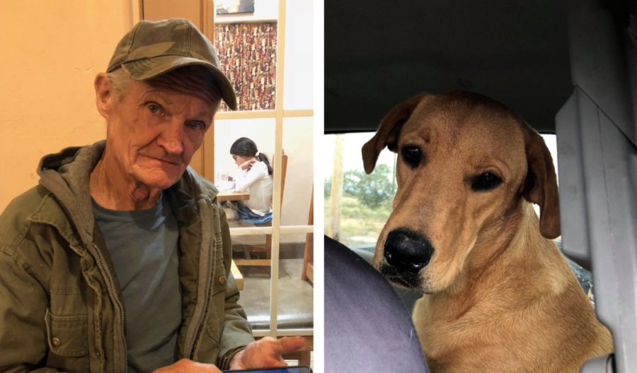 Homem de 74 anos é baleado pelo seu próprio cachorro 