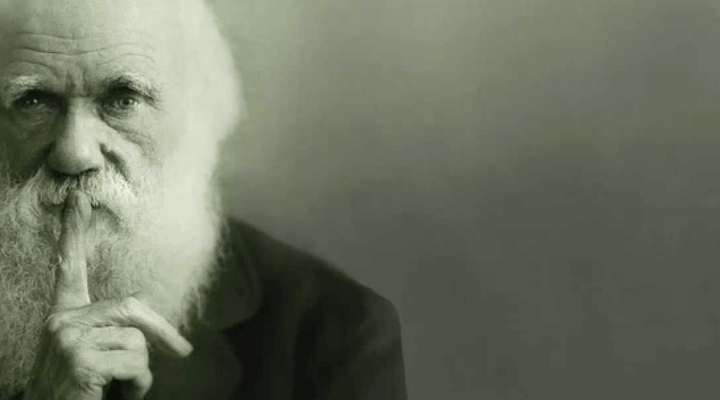 Charles Darwin economista