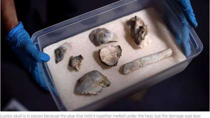 Encontrados restos da Luzia fóssil que estava no Museu Nacional