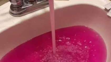 Cidade do Canadá se assusta com água cor de rosa 