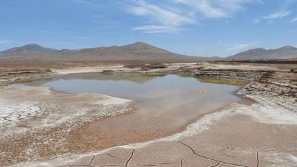 Chuvas no deserto do Atacama foram desastrem, não milagre