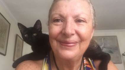 Mulher enfrenta furacão para salvar 26 gatinhos 
