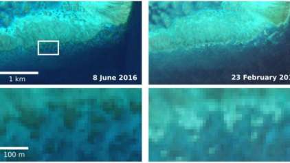 Embranquecimento da Barreira de Corais é visto do espaço 