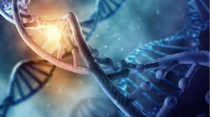 Pela primeira vez cientistas alteram DNA em um humano adulto