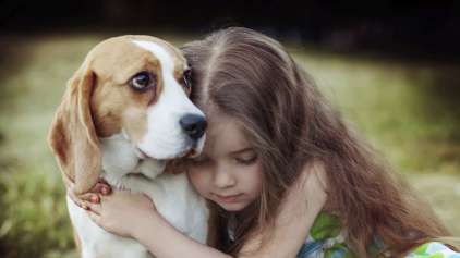 Cachorros podem ajudar crianças com eczema e asma, aponta estudo