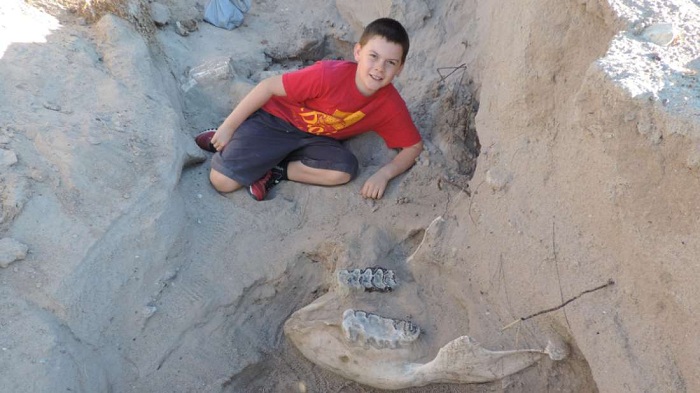 Garoto de 10 anos tropeça e descobre fóssil de 1 milhão de anos