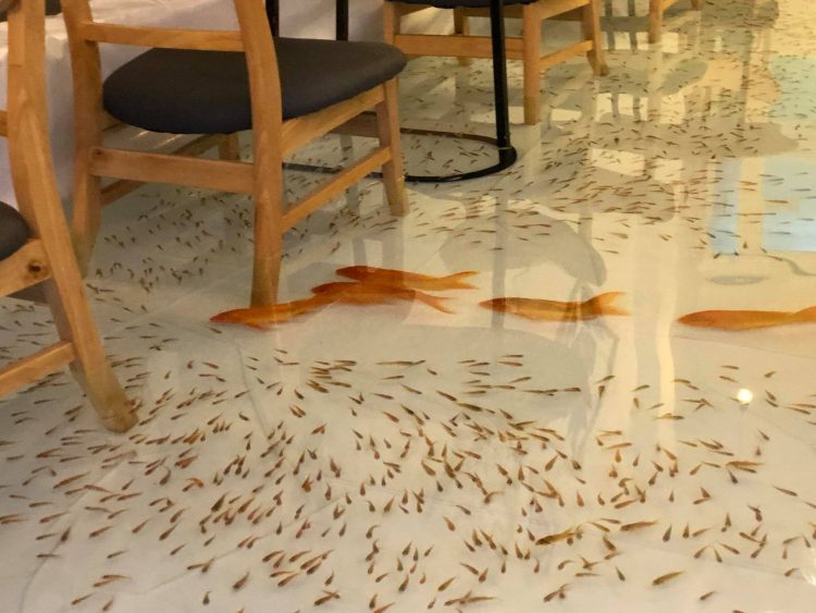 Inaugurada no Vietnam cafeteria inundada com peixes vivos