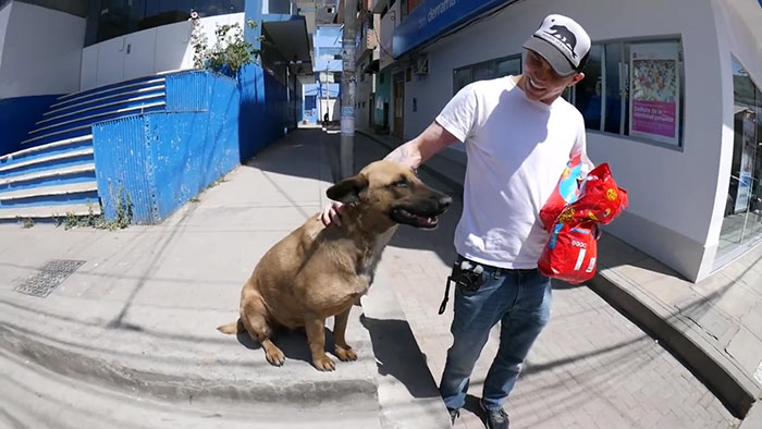 Ex-Jackass acampa na rua para poder dormir com cachorro de rua