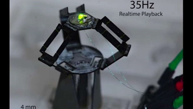 Conheça o milliDelta, um dos robôs mais rápidos do mundo 