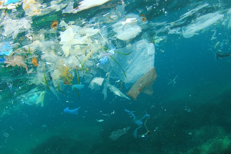 Mergulhador flagra quantidade absurda de plástico na água 
